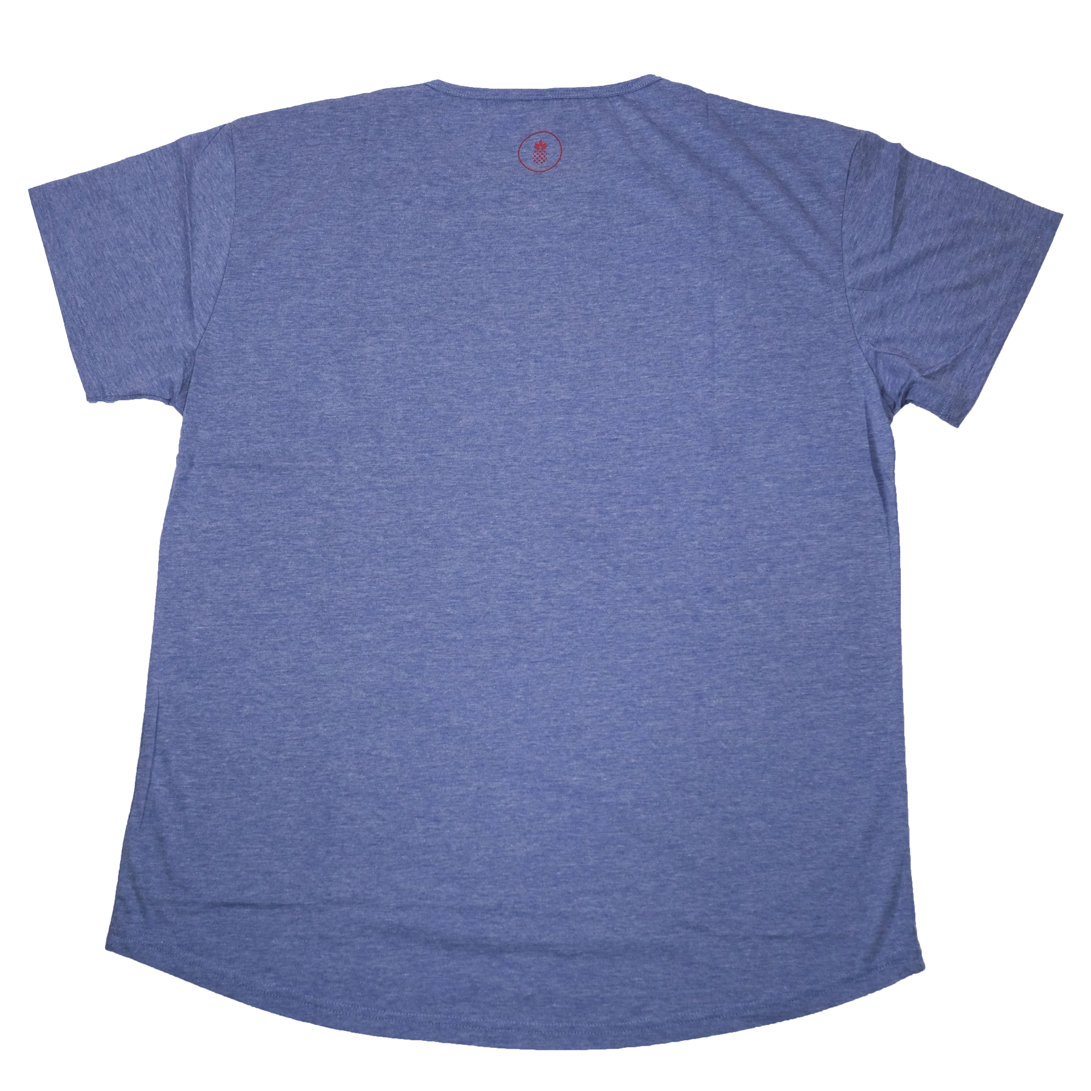Cationic Painter Blue Red